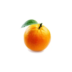 Fresh Orange Fruit
