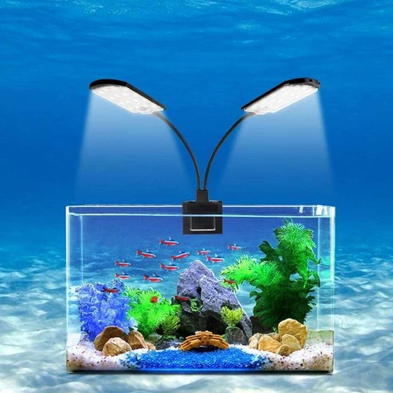 aquarium-led-light-1.webp