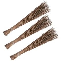 Floor Coconut Brooms