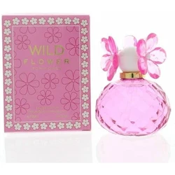 Wild Fragrance Flower