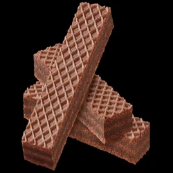 Big Chocolate Wafer