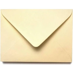 Plain Business Envelope