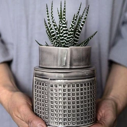 Silver Flowers Pots