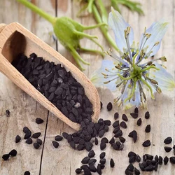 Kalonji Raw Seeds