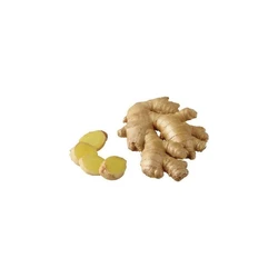 Organic Brown Ginger