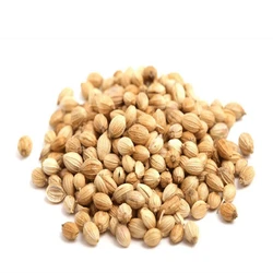 Coriander Seed
