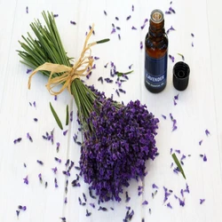 Lavender Essential Oils