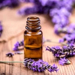 Liquid Lavender Oil
