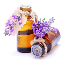 Lavender Skin Oil 