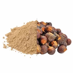 Soapnut Shell Powder