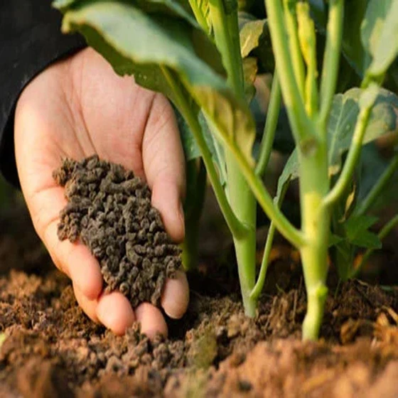 organic-fertilizer-natural-2.webp