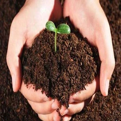 Organic Fertilizer Natural