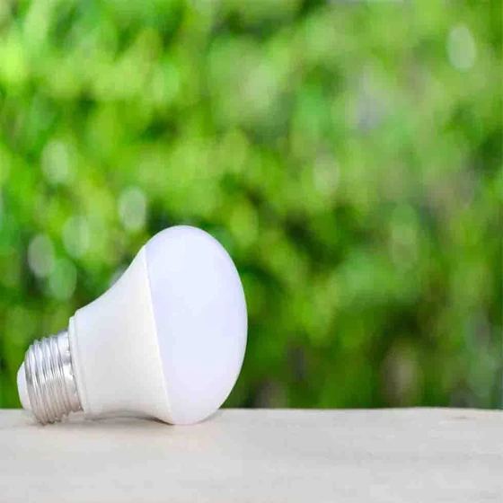 led-light-bulb-2.webp