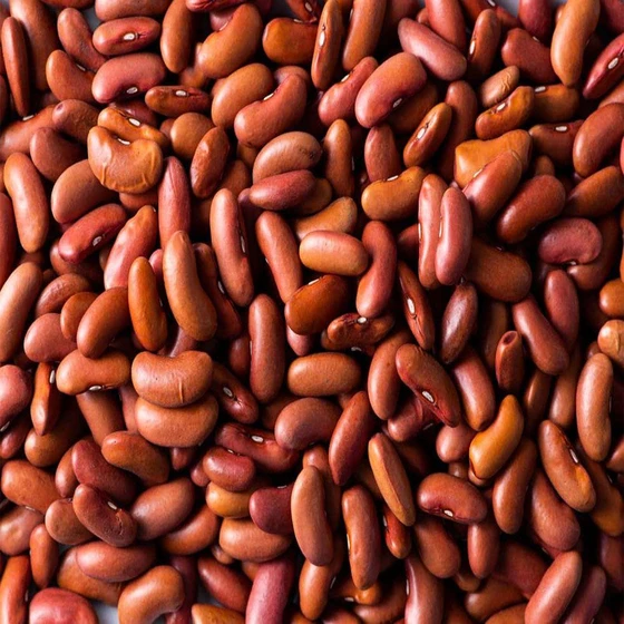 organic-beans-2.webp