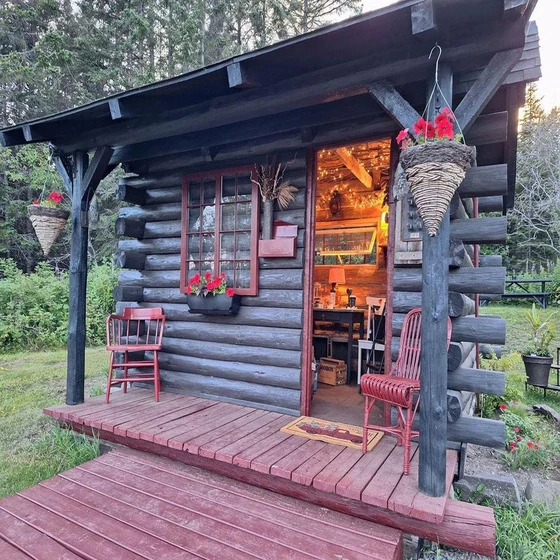 designer-cabin-store-2.webp