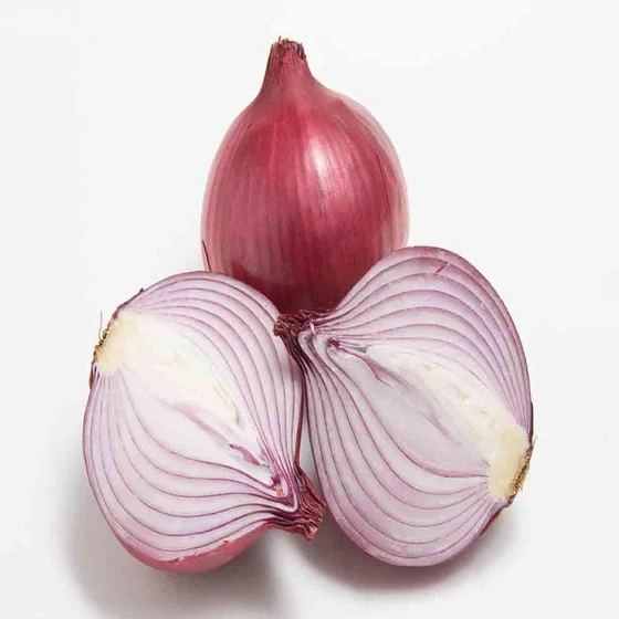 onion.webp