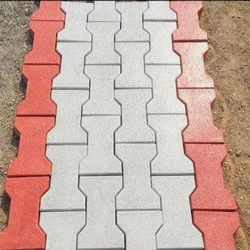 Interlocking Paver Block