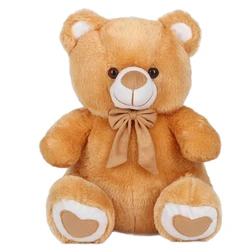 Teddy Bear Soft Toy