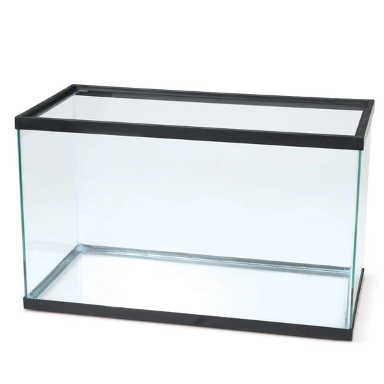 glass-aquarium-tank-2.webp