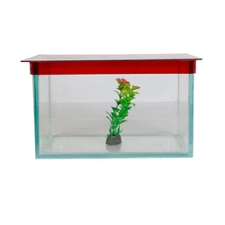 Glass Aquarium Tank