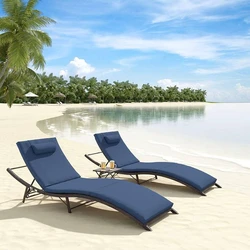 Pool Lounger Chair