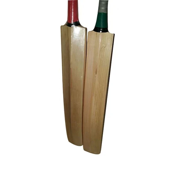 standards-willow-bat-2.webp