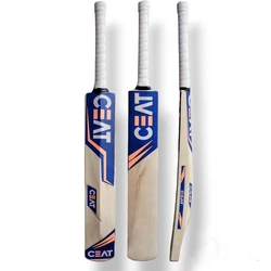 Legendary Cricket Bats 