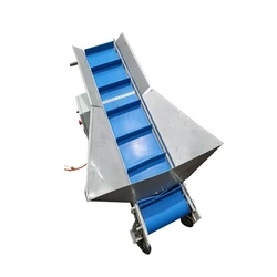 Belt Blue Conveyor
