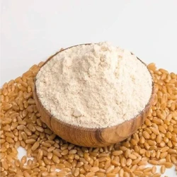 Whole Wheat Flour