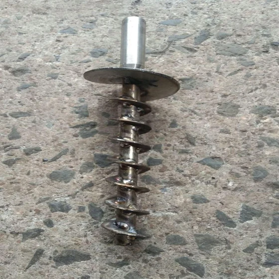 auger-silver-screw-2.webp