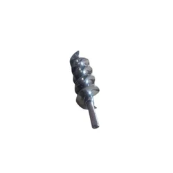 Auger Silver Screw
