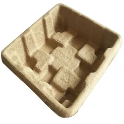 Molded Pulp Tray