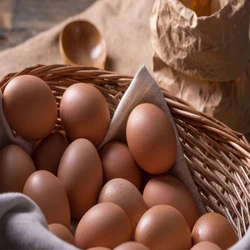 Light Brown Eggs