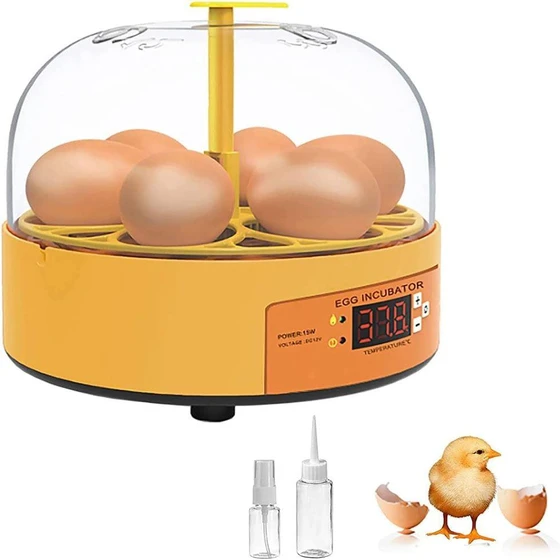 mini-chicken-incubator-2.webp