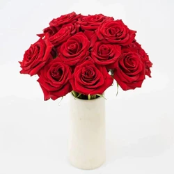 Black Magic Fresh Roses