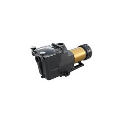Hayward Super Variable Pump