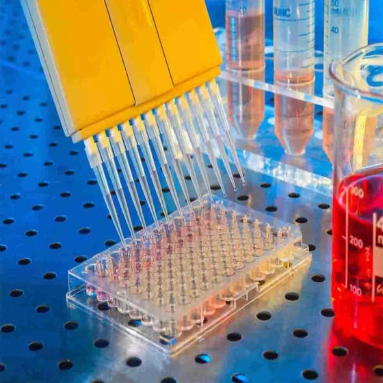 acid-elisa-kit-2.webp