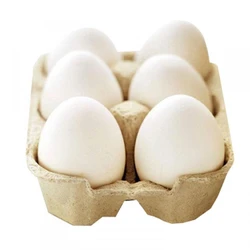 Chicken White Eggs