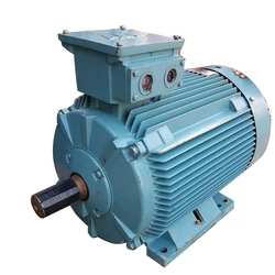 Industrial Electric Motor