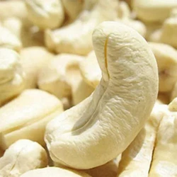 Tanzanian Dried Cashew Nuts