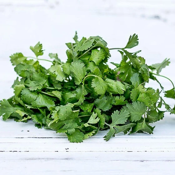 fresh-green-coriander-2.webp