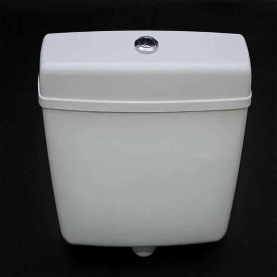 toilet-dual-flush-cistern-2.webp