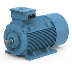 Three Phase Motors