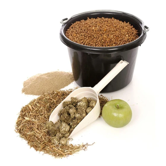 horse-food-feed-2.webp