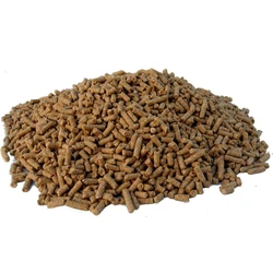 Horse Food Feed