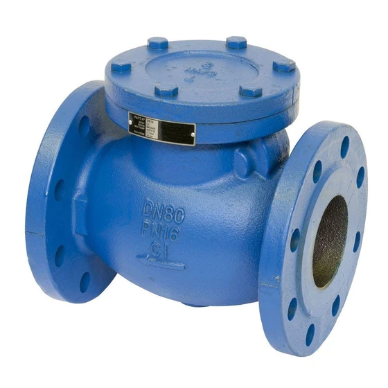 cast-steel-check-valve-2.webp