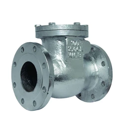 Cast Steel Check Valve