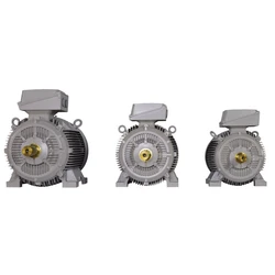 Crompton Electric Motors