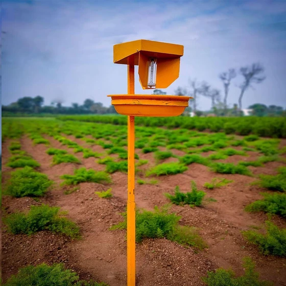 innovac-solar-insect-trap-2.webp