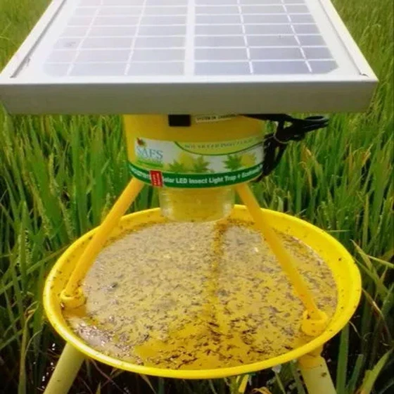 bio-insect-trap-2.webp